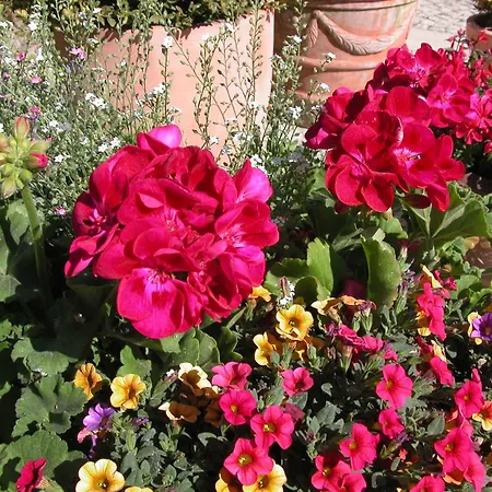 Апартаменты Akazienhaus 3 Дирхаген